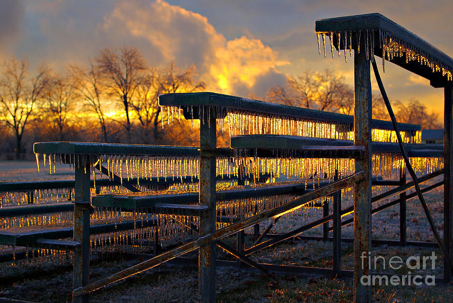 Icy Bleachers Photograph by Rich Walter