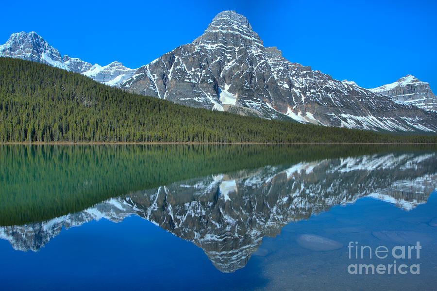 Icy Blue Mt Chephren Reflections Photograph by Adam Jewell