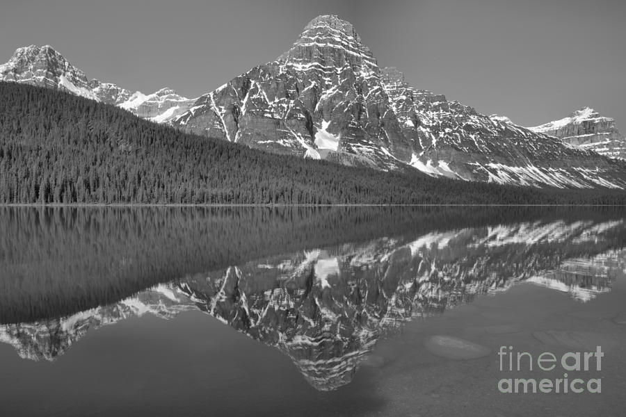 Icy Blue Mt Chephren Reflections Black And White Photograph by Adam Jewell