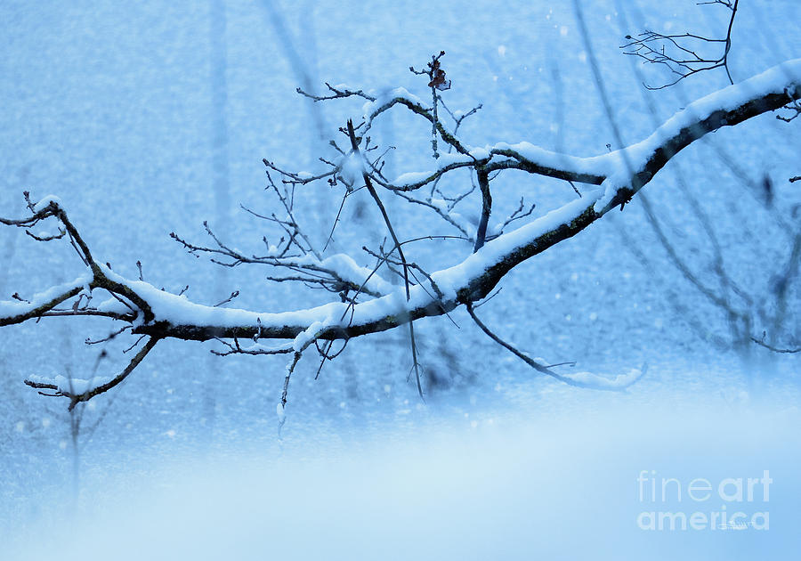 Icy Blue Winter Photograph by Jutta Maria Pusl