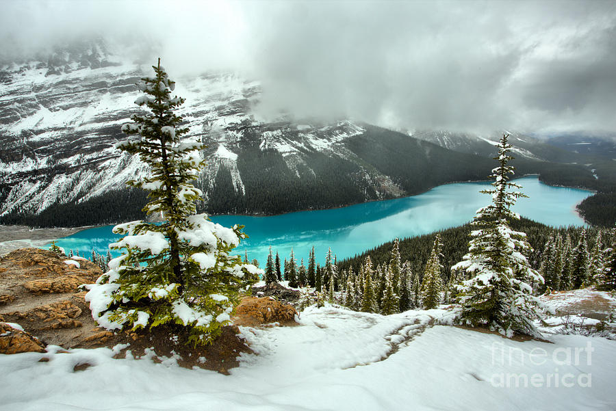 Icy Blues And Snow At Peyto Lake Photograph by Adam Jewell