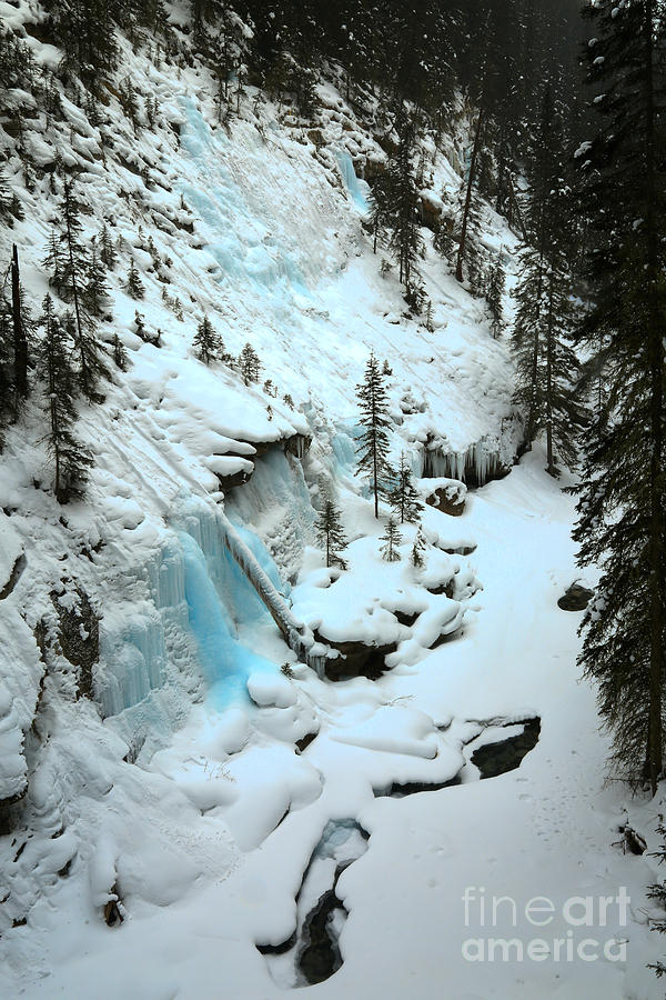 Icy Blues In The Forest Photograph by Adam Jewell
