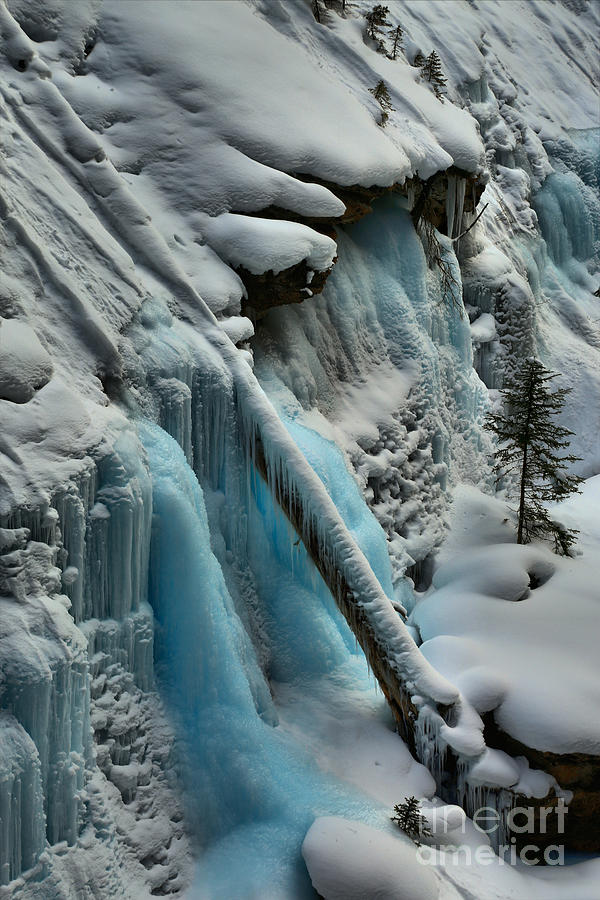 Icy Blues Portrait Photograph by Adam Jewell