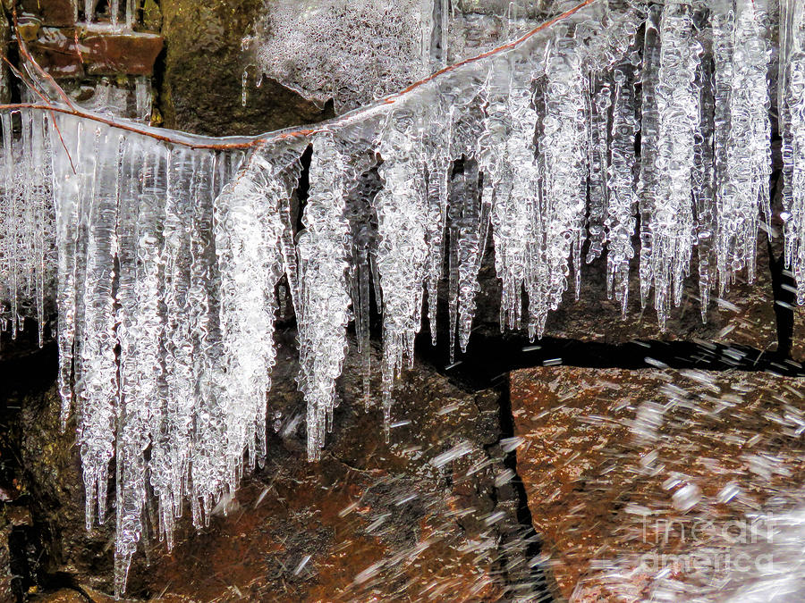 Icy Clothesline Photograph by Janice Drew