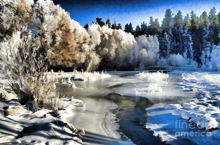 Icy Creek Photograph by Roland Stanke