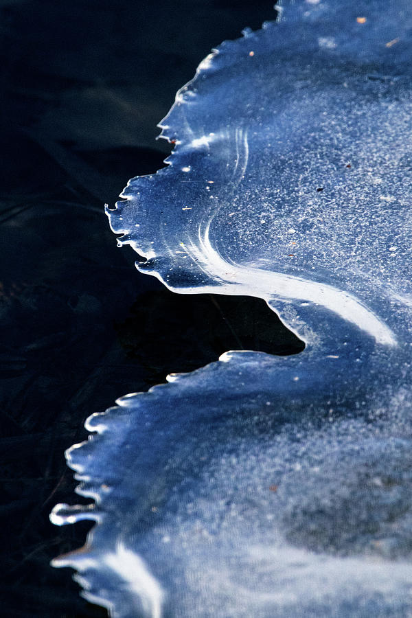 Icy Edge Photograph by Ira Marcus