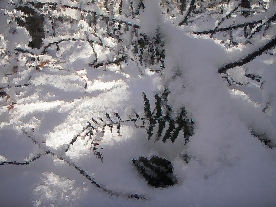 Icy Fern Photograph by Nicole Angell