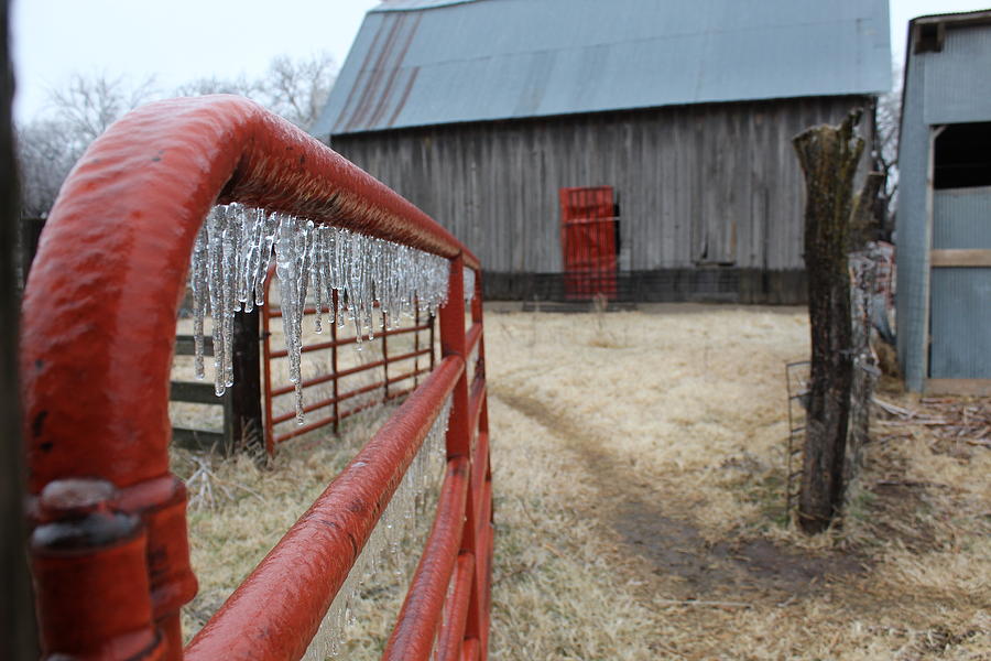 Barn Photograph - Icy Gate by Weathered Wood