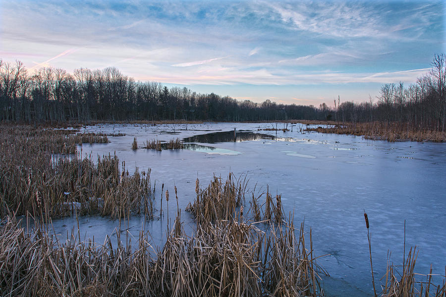 Icy Glazed Wetlands Photograph by Angelo Marcialis