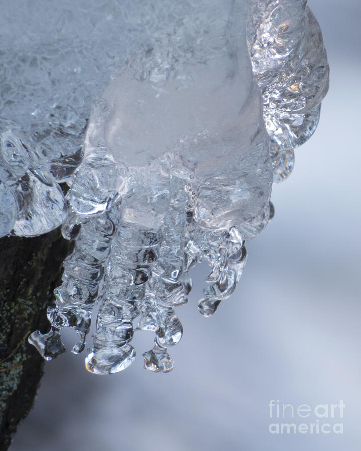Icy Hand Photograph by Lili Feinstein
