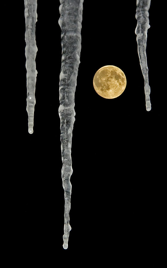 Icy Moon Photograph by Jeff Galbraith