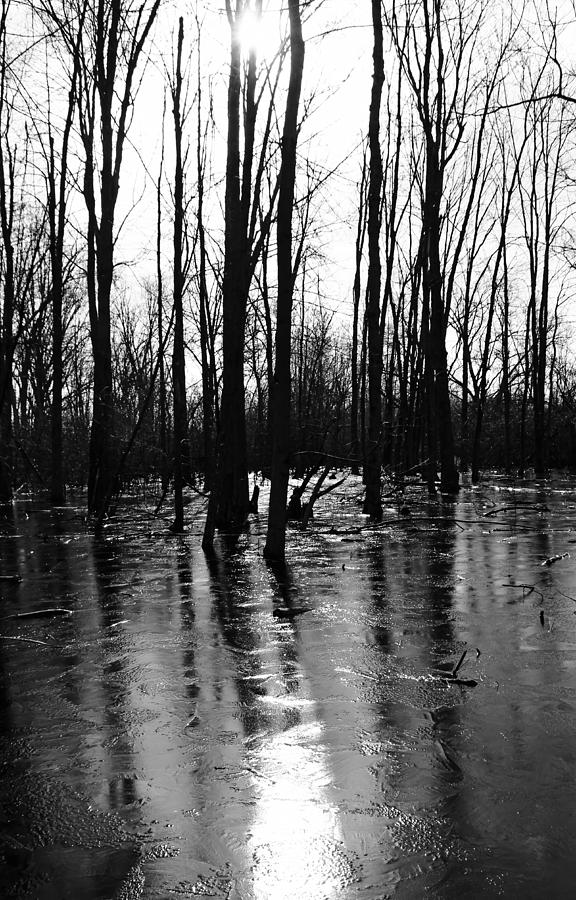 Icy Pond Black And White Photograph by Debbie Oppermann - Fine Art America