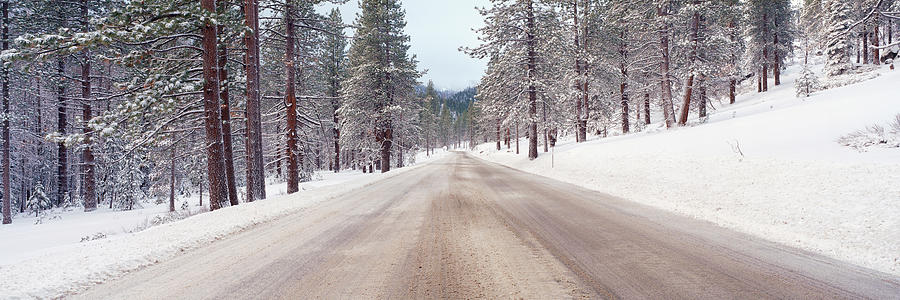 Nature Photograph - Icy Road And Snowy Forest, California by Panoramic Images