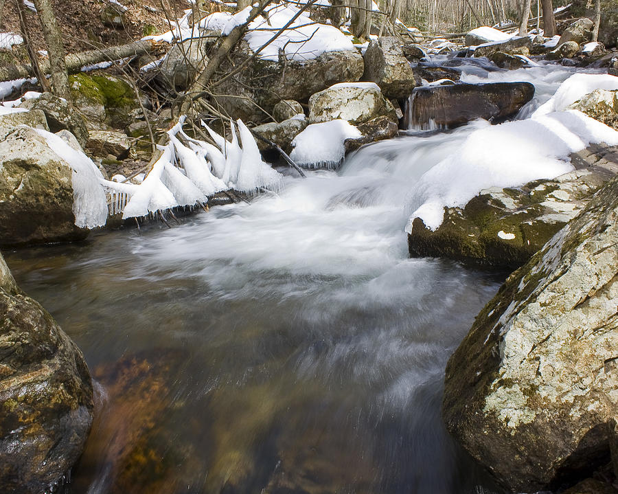 Icy Stream Photograph by Alan Raasch