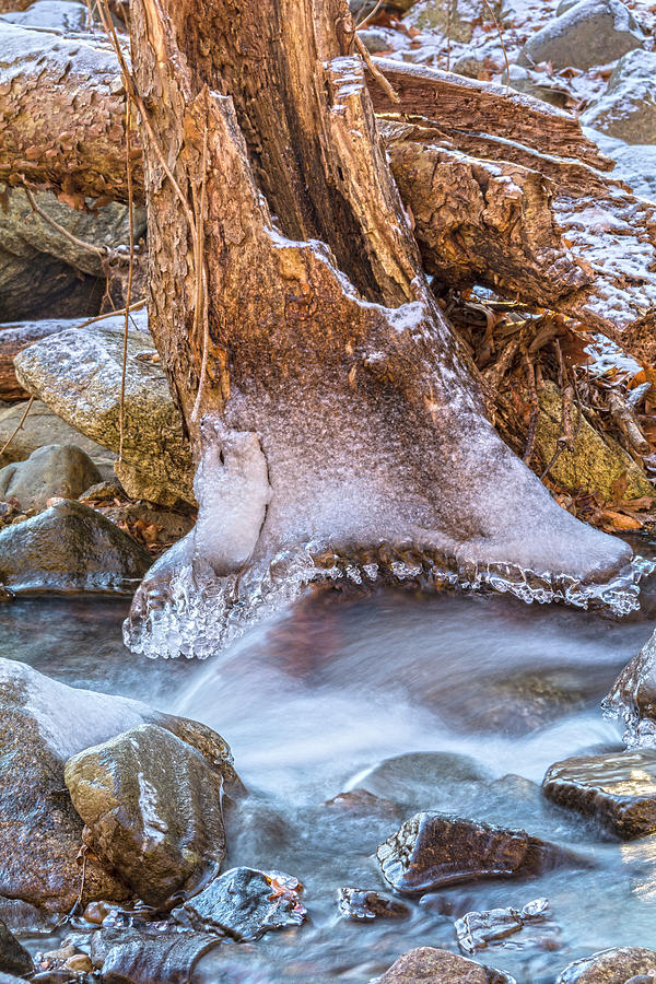Icy Stump At Horse Chuck Creek Photograph by Angelo Marcialis