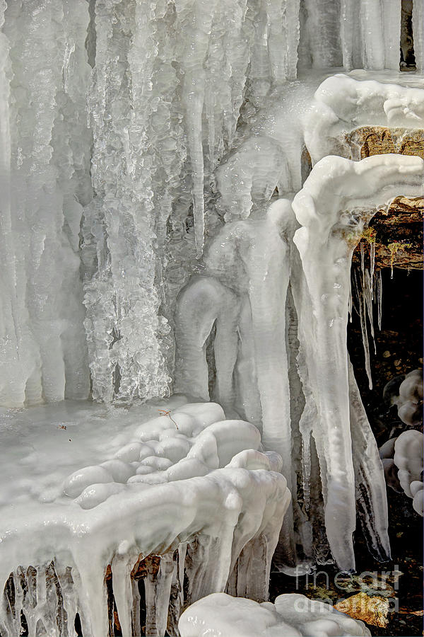 Icy Tendrils by Wanda Krack Icy Tendrils by Wanda Krack