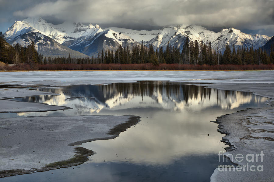 Icy Vermilion Lakes Reflections Photograph by Adam Jewell