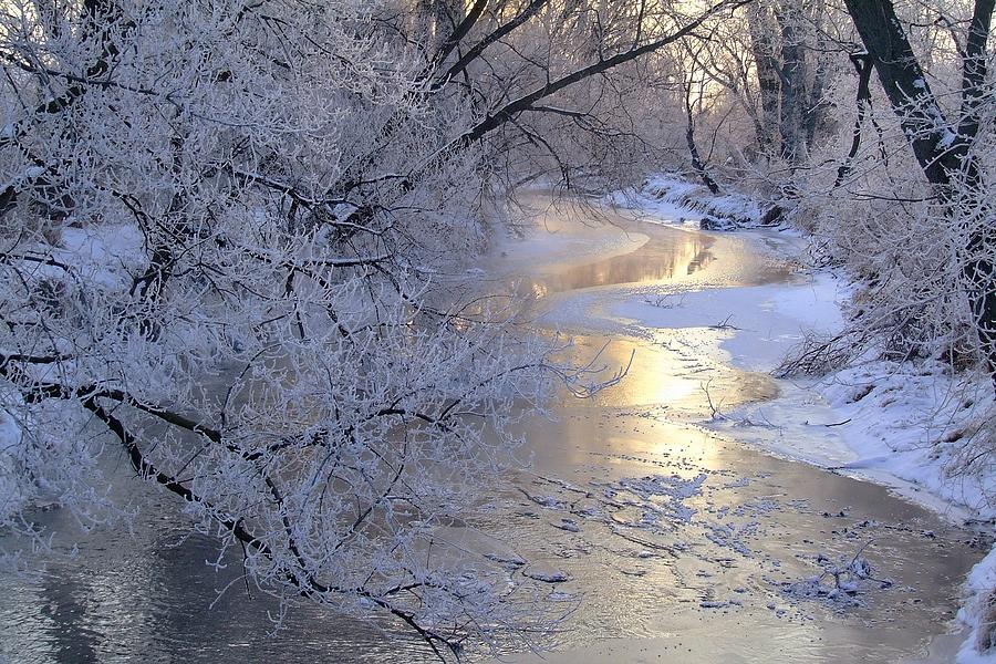 Icy Waters Photograph by Luke Robertson - Fine Art America