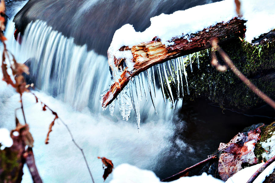 Icy Waters Photograph by Rebecca Davis