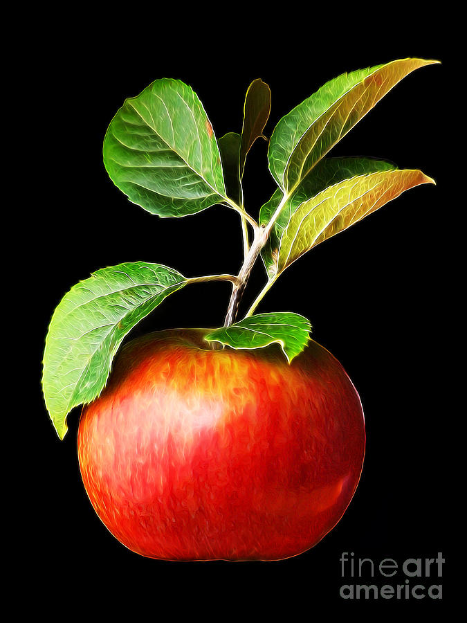 Ida Red Apple and Leaves Photograph by Wernher Krutein