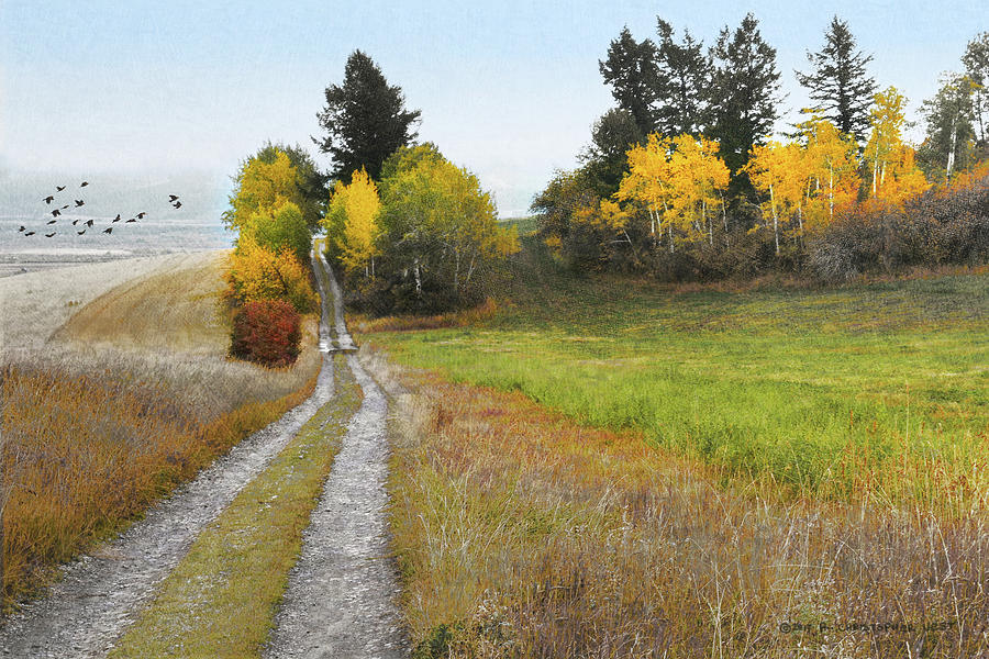 Idaho Backroad Autumn Digital Art by R christopher Vest - Fine Art America