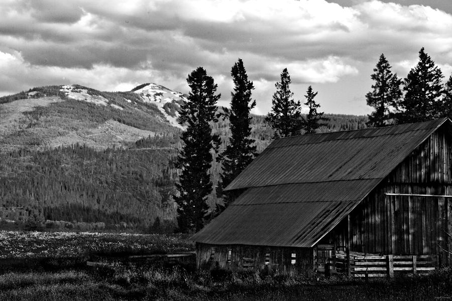 Idaho Barn Photograph by Joseph Noonan