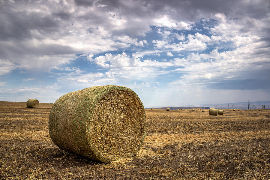 Idaho Hay Bale Photograph by Brad Stinson