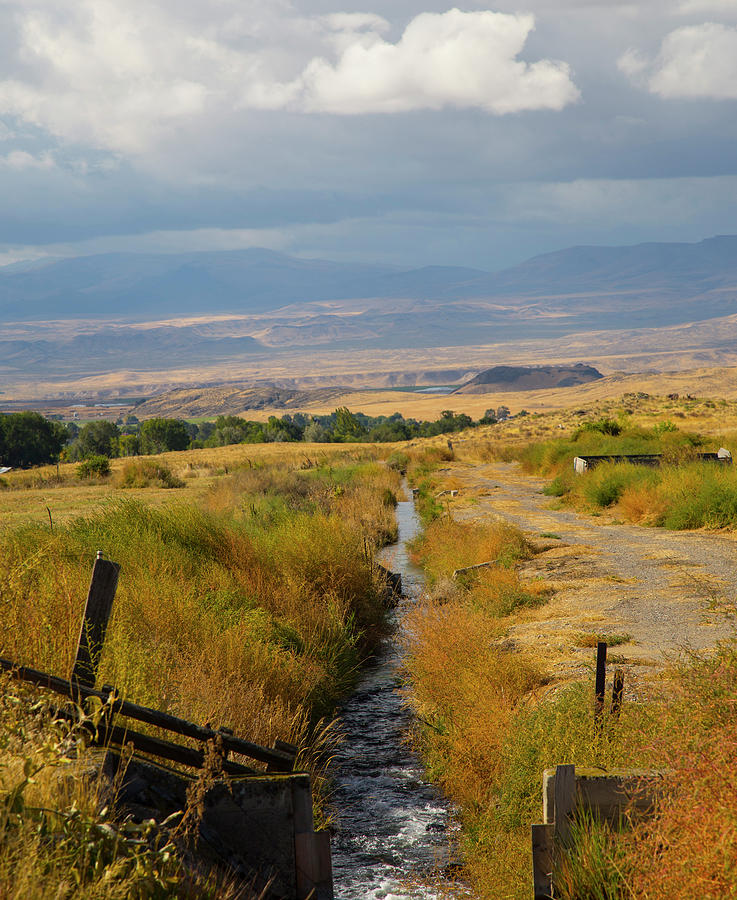 Idaho Stream Photograph by Dart Humeston