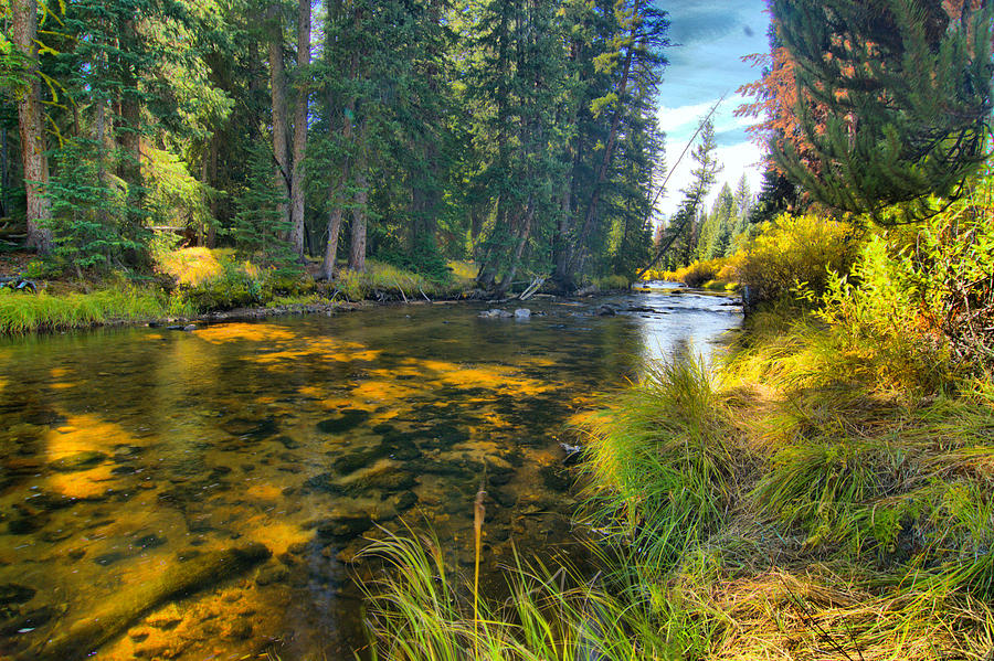 Idaho Stream Photograph by Josephine Buschman