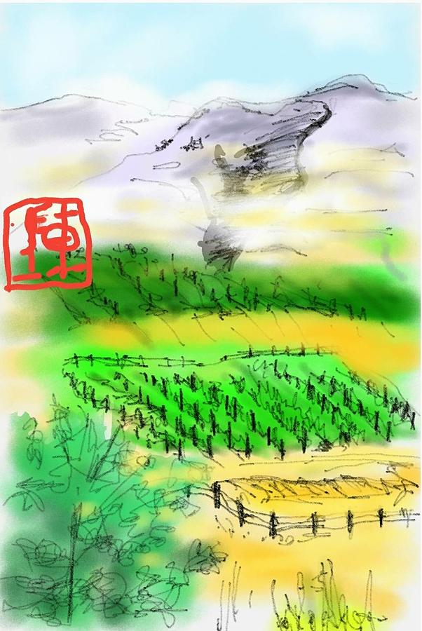 IDAHO vineyard Digital Art by Debbi Saccomanno Chan