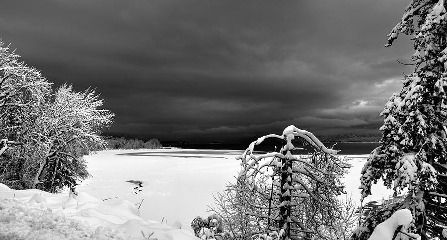 Idaho Winter  Photograph by Lee Santa