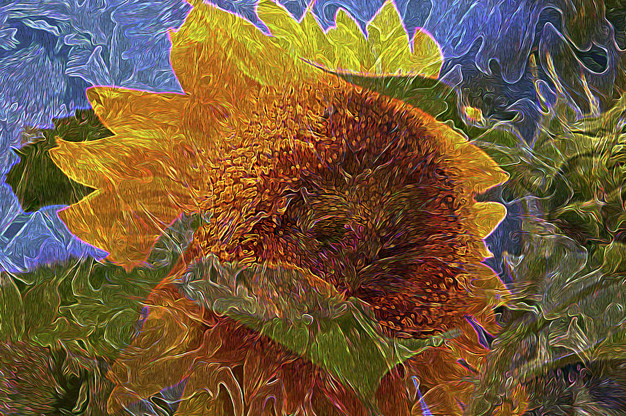 Ides of the Sunflower 5 Photograph by Lynda Lehmann