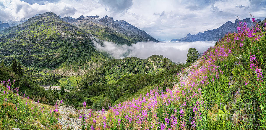 Idyllic alpine panorama Photograph by JR Photography