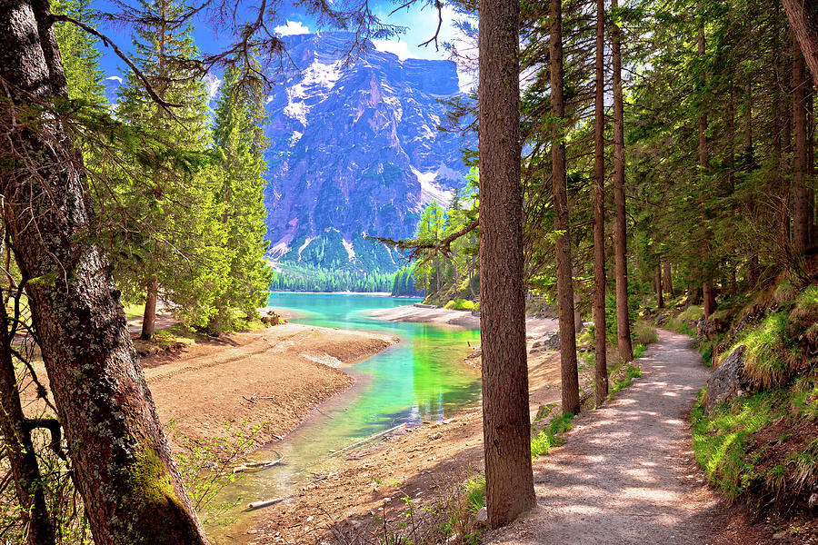 Idyllic Alpine walkway by Pragster Wildsee lake Photograph by Brch Photography