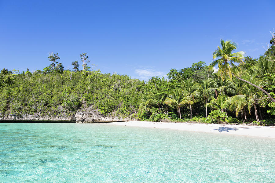 Idyllic beach in Togian island in Sulawesi Photograph by Didier Marti