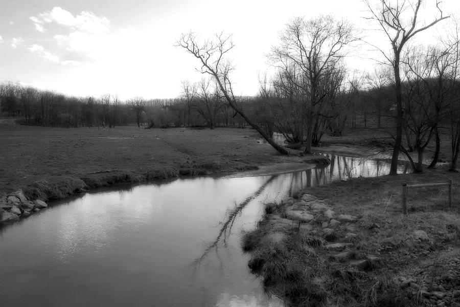 Idyllic Creek - Black and White Photograph by Angela Rath