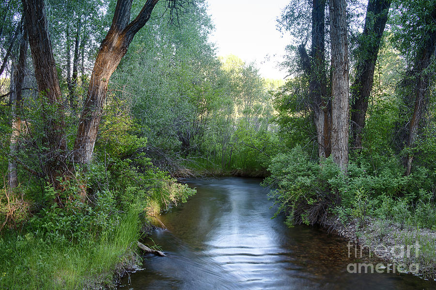 Idyllic Creek Photograph by Idaho Scenic Images Linda Lantzy