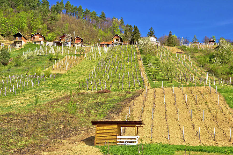 Idyllic mountain vineyards village of Prigorec  Photograph by Brch Photography
