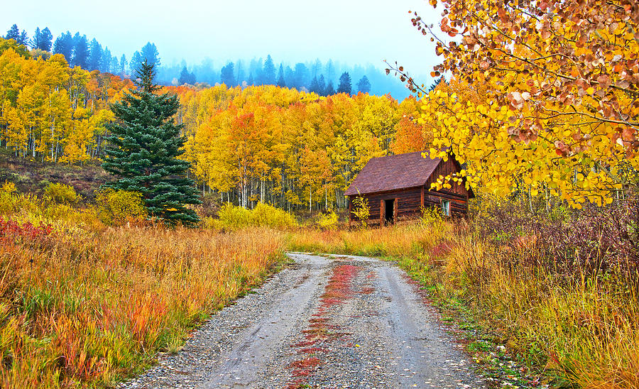 Idyllic Nostalgia Photograph by Bijan Pirnia