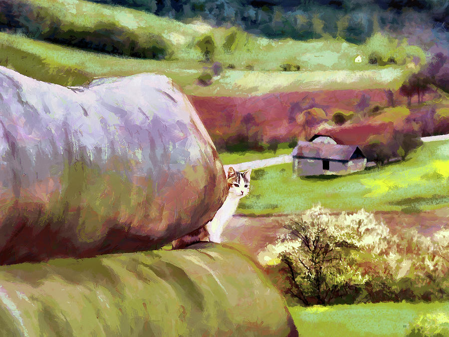 Idyllic Rural Austria Painting by Menega Sabidussi