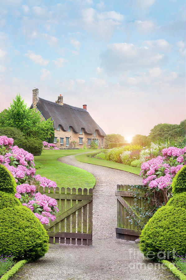 Idyllic Thatched House In A Pretty Cottage Garden At Sunset by Lee Avison