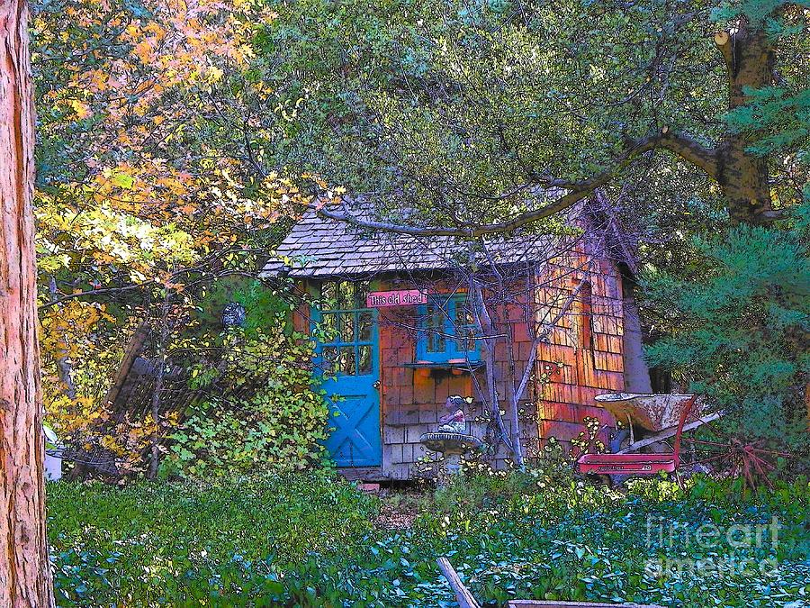 Idyllwild Cabin 671 Photograph by Lisa Dunn
