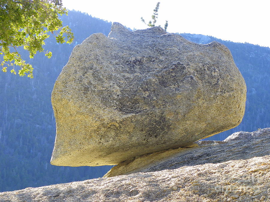 Idyllwild Rocks Photograph by Lisa Dunn