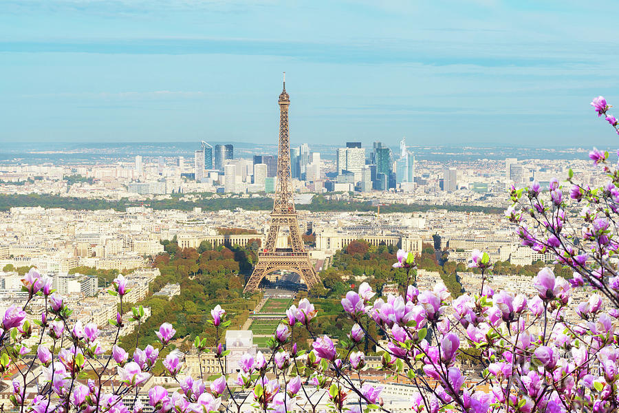 Spring Cityscape Of Paris Photograph