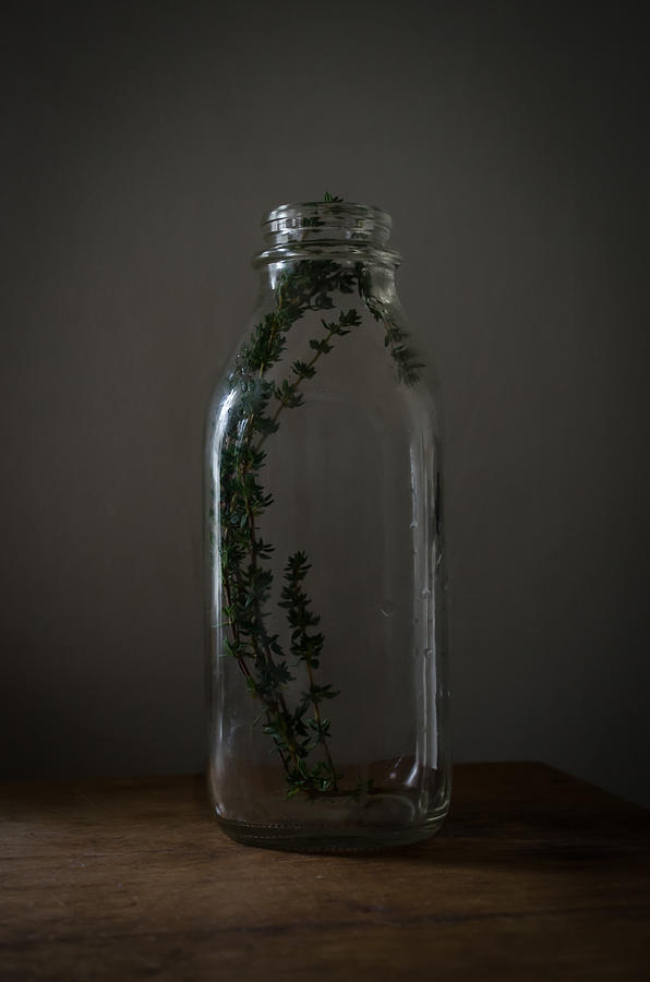 If i could save thyme in a bottle Photograph by Rae Ann  M Garrett