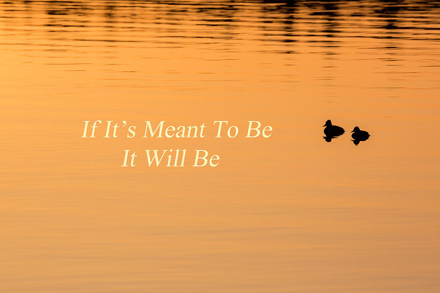 If Its Meant To Be It Will Be Photograph by Bill Wakeley