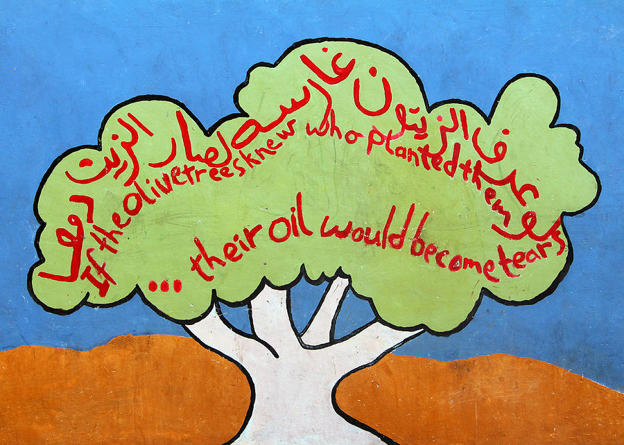 If Olive Trees Photograph by Munir Alawi If Olive Trees Photograph by Munir Alawi