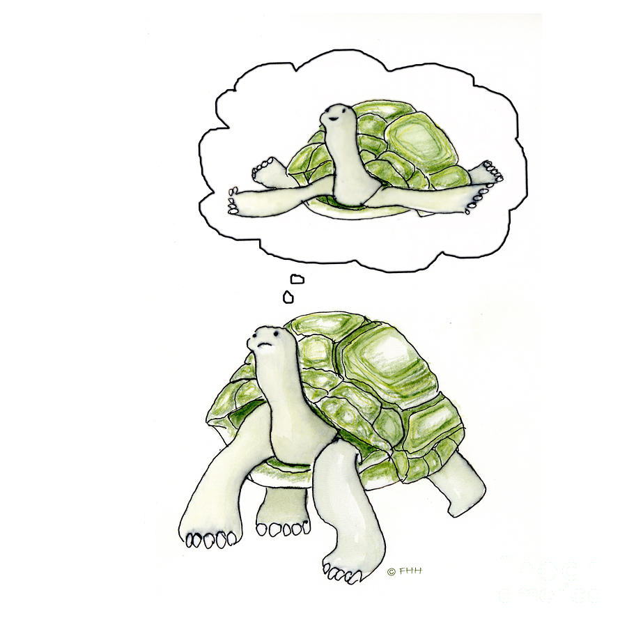 Turtle Drawing - If only I could fly by Fran Henig