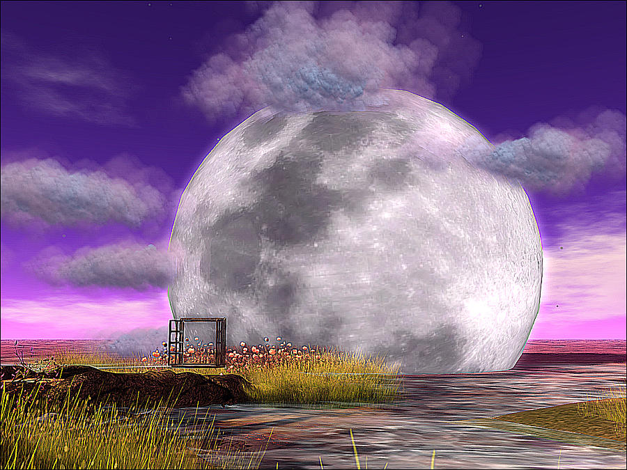 If the Moon Touched the Deep Marsh Digital Art by Michael Doyle