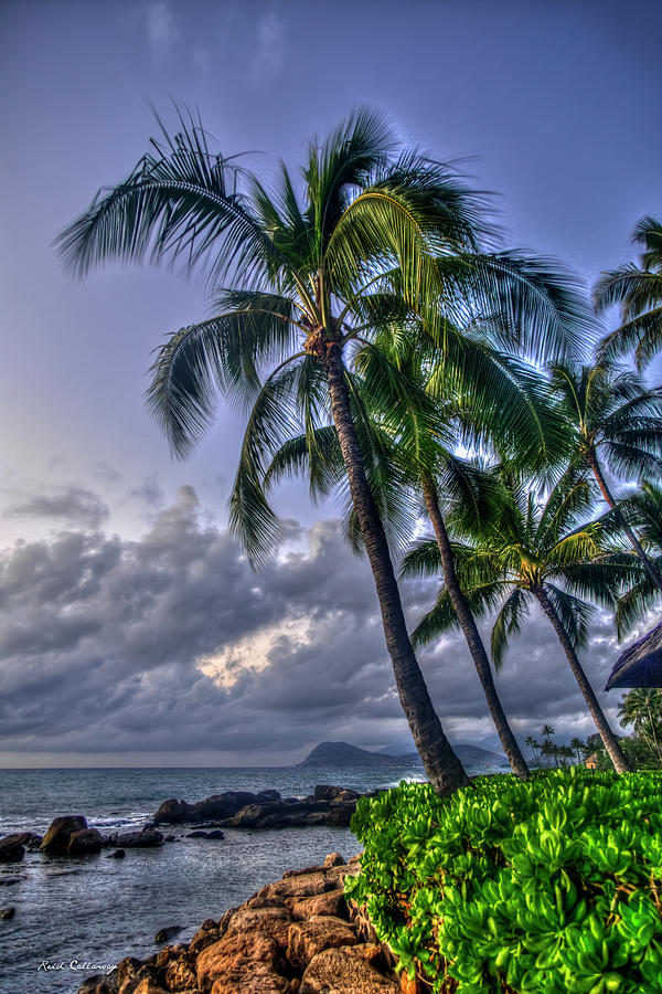 If You Could See Me Now Majestic Palms Hawaii Collection Art Photograph by Reid Callaway